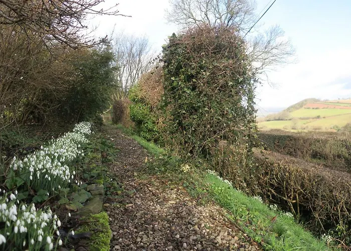 Highfield